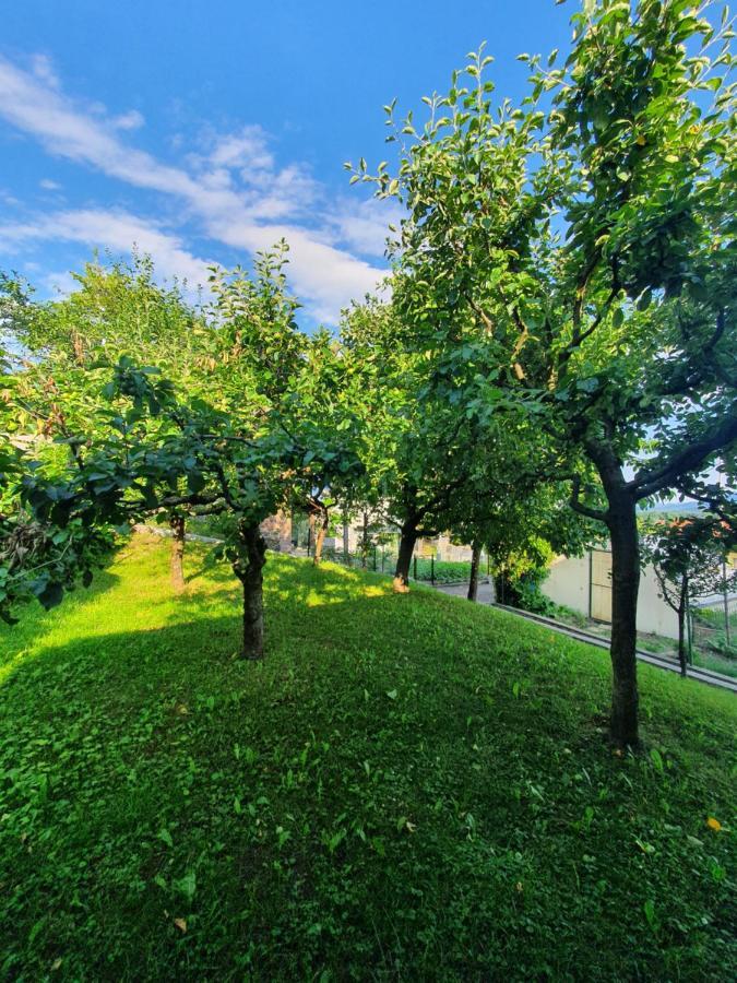 Apartmaji Marko Bled Ruang foto